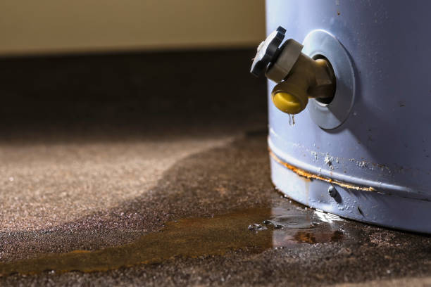 Best Water damage cleanup near me  in Wadena, MN
