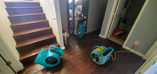 Best Water damage restoration services  in Wadena, MN