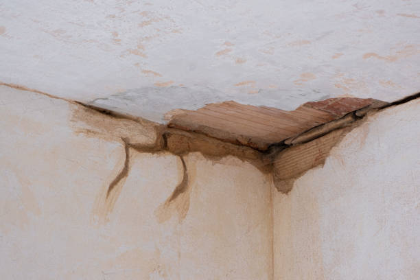 Best 24/7 water damage repair  in Wadena, MN