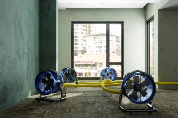Best Commercial water damage restoration  in Wadena, MN