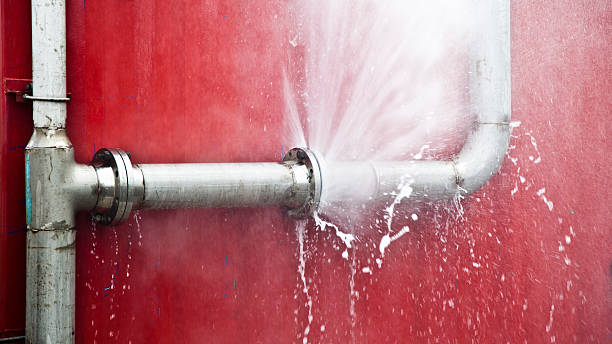 Best Local water damage restoration  in Wadena, MN