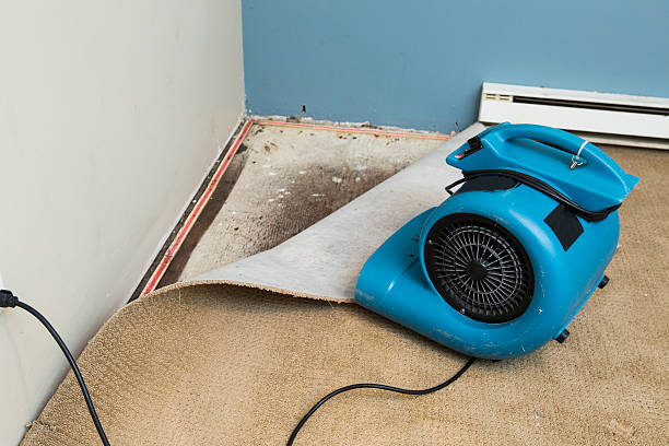 Best Local water damage restoration  in Wadena, MN