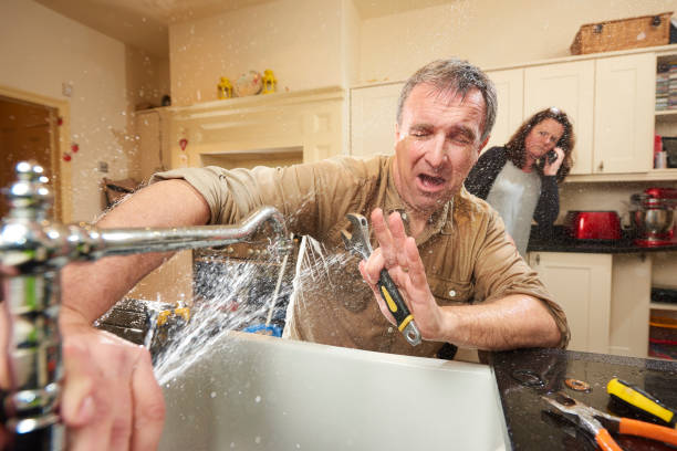Best 24-hour water damage restoration  in Wadena, MN